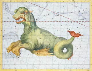 Costellazione di Cetus la Balena, da 